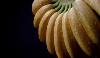 Ripe bananas with drops of water on the peel on a black background. photo