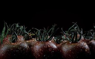 Black tomatoes. tomato background. Cherry tomatoes. Tomato cumato. photo