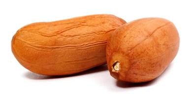 Two peanut nuts cleaned are isolated on a white background. photo