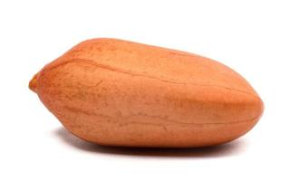 Peanuts are isolated on a white background. photo