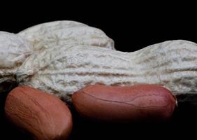 Peanuts in the shell and without it on a black background. photo