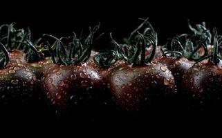 Black tomatoes. tomato background. Cherry tomatoes. Tomato cumato. photo