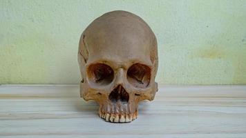 human skull on wood table for sci or medical content. photo