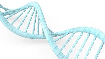 blue DNA in white background for  medical concept 3d rendering. photo