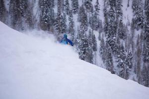 freeride skier skiing downhill photo