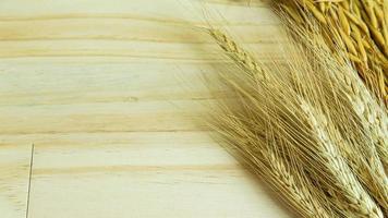 Barley and Oat  on wood table for food content. photo