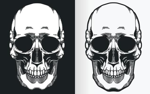 Vintage Human Skull Front View Silhouette