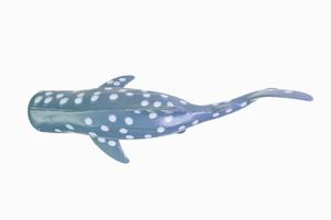 imagen de primer plano aislado de tiburón ballena de juguete. foto