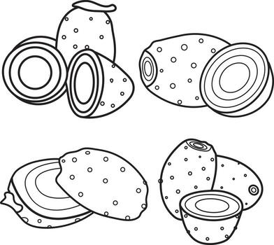 Prickly pear fruit doodle vector in four different shape for web and print