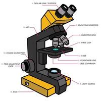 Vector of compound light microscope structure. Fill color on white background