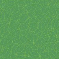 Seamless with green birch leaves vector