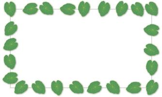Leaves frame on  background vector