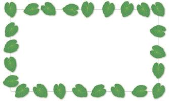 Leaves frame on  background vector