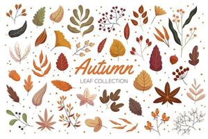 colección de hojas de bosque de otoño vintage. conjunto de ilustración de vector dibujado a mano plana de follaje. bellota, bayas de serbal y viburnum, ramas de rosa mosqueta.