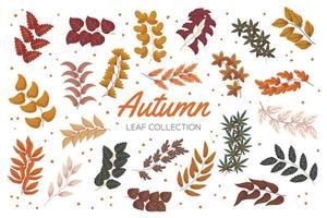 ramas de bosque de otoño vintage con colección de hojas. conjunto de ilustración de vector dibujado a mano plana de follaje.