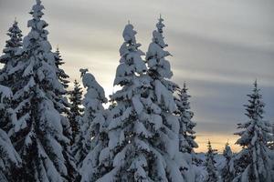 winter mountain landscape photo