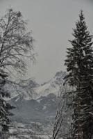 paisaje de montaña de invierno foto