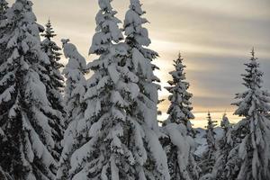 paisaje de montaña de invierno foto