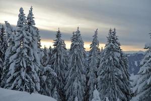 winter mountain landscape photo