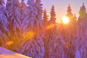 mountain winter landscape photo