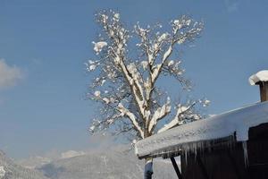 paisaje de montaña de invierno foto