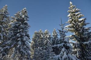 paisaje de montaña de invierno foto