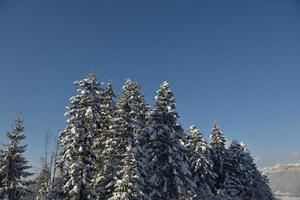 paisaje de montaña de invierno foto