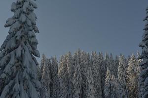 winter mountain landscape photo