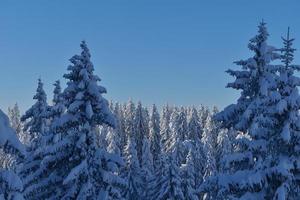 paisaje de invierno de montaña foto