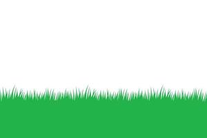 spring grass isolated on white background. vector