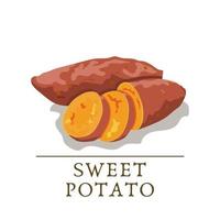 Sweet potato isolated on the white background. Vector illustration, logo or banner