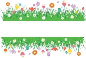 spring grass flowers and butterfly isolated on white background. vector