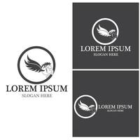 Pegasus icon and symbol vector template