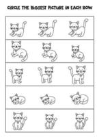 Find the biggest cute cat in each row. vector