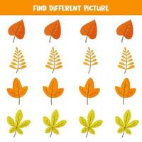 Find autumn leaf which is different from others. Worksheet for kids. vector