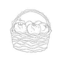 illustration of the basket full of fruits in line art mode, apple basket art vector