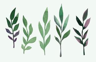 A set of watercolor leaves for decoration, decoupage. Vector illustration.