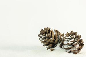 Pine cones on snow image background. photo