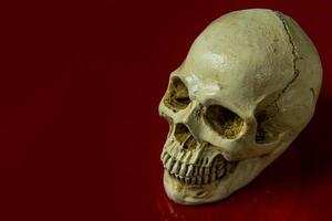 The skull on red background glossy abstract image. photo