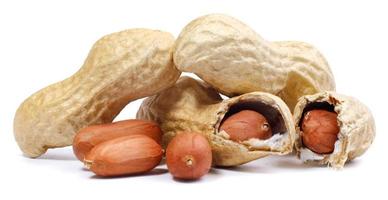 Peanuts in shell and peeled isolated on a white background. photo