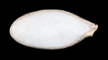 Pumpkin seed is isolated on a black background. Close-up. photo