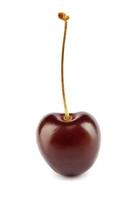 Cherry isolated. Cherries on white. With clipping path. photo
