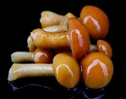 Tasty pickled mushrooms on dark background.. Pickled honey fungus. photo