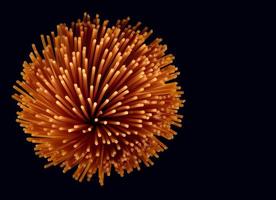 A bunch of tomato pasta on a dark background. Colored spaghetti. photo