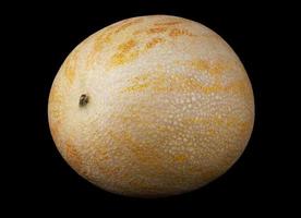 The yellow ripe melon is isolated on a black background. photo