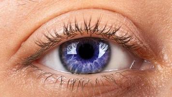 primer plano de ojo femenino azul grisáceo foto