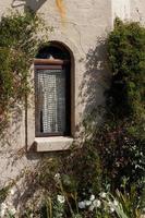 Arched Window and Plants photo