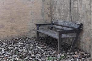 Wooden Bench and Leaves photo