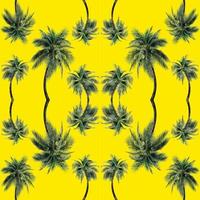 patrón de hojas de palma verde para el concepto de naturaleza, cocotero tropical aislado en fondo amarillo foto