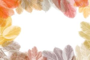 colorful leaves pattern on white background,gradient color pastel autumn leaf,ideas graphic design for web or banner photo